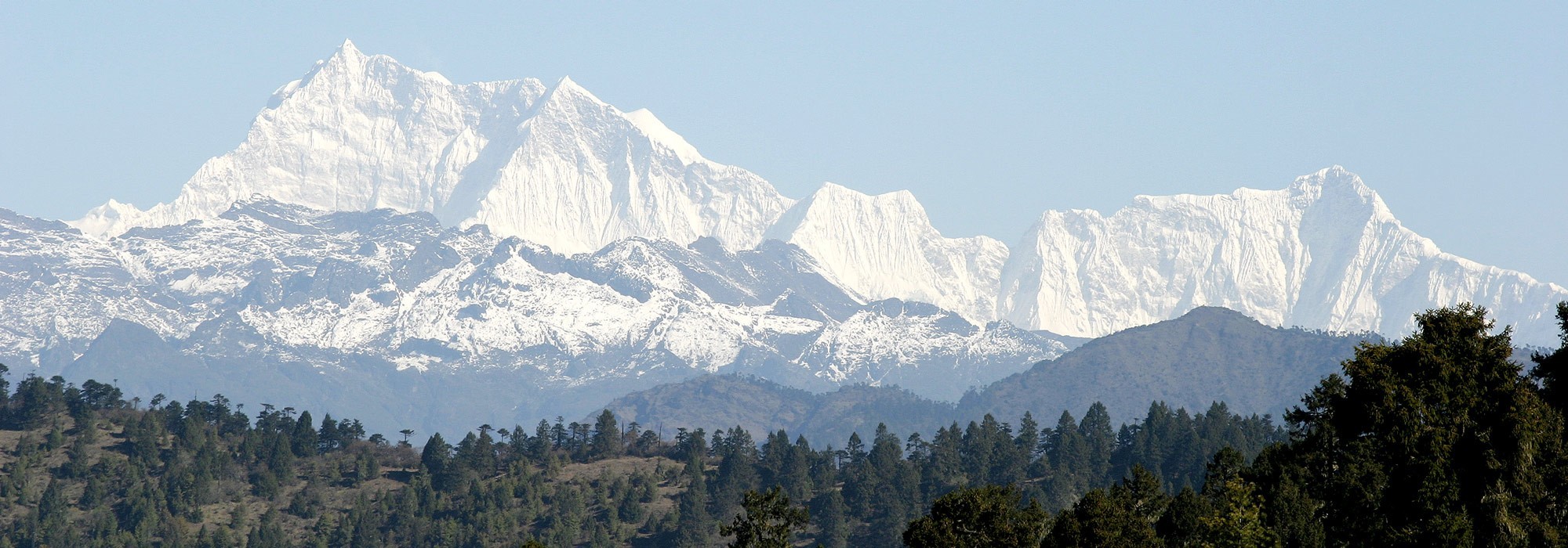 Snow-capped Himalayan peaks rising above dense pine forests under a pale high-altitude sky