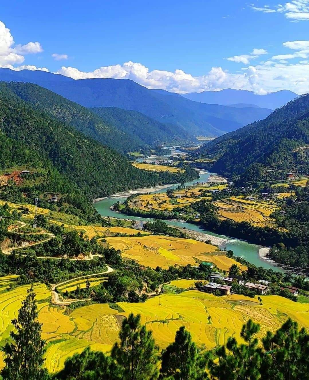 A turquoise river winding through golden terraced fields beneath forested Himalayan ridges