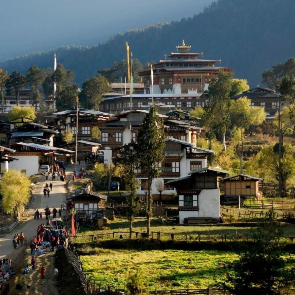 Traditional Bhutanese village houses and a golden-roofed dzong among fields and trees