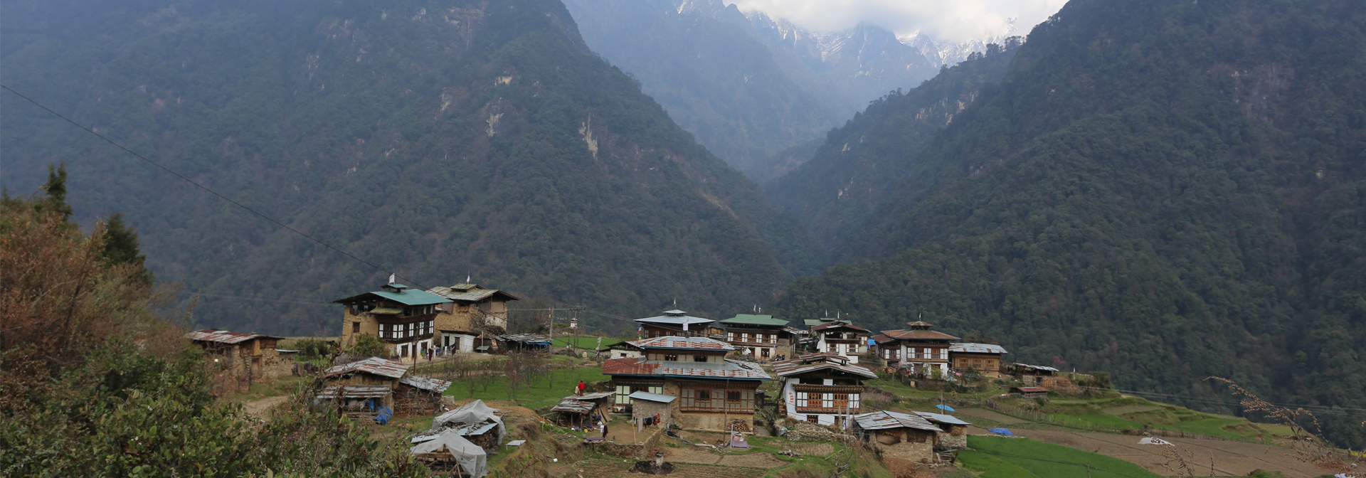 Traditional Bhutanese farmhouses and terraced green fields nestled in a forested mountain valley under snow-capped peaks